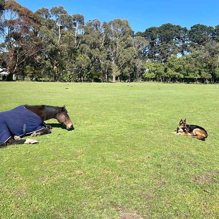 Farm Stay Maple Cottage At Wilindi Estate Tyabb المظهر الخارجي الصورة