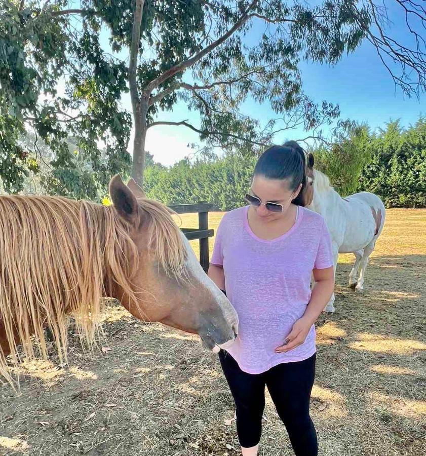 Farm Stay Maple Cottage At Wilindi Estate Tyabb المظهر الخارجي الصورة