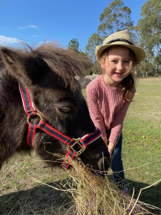 Farm Stay Maple Cottage At Wilindi Estate Tyabb المظهر الخارجي الصورة