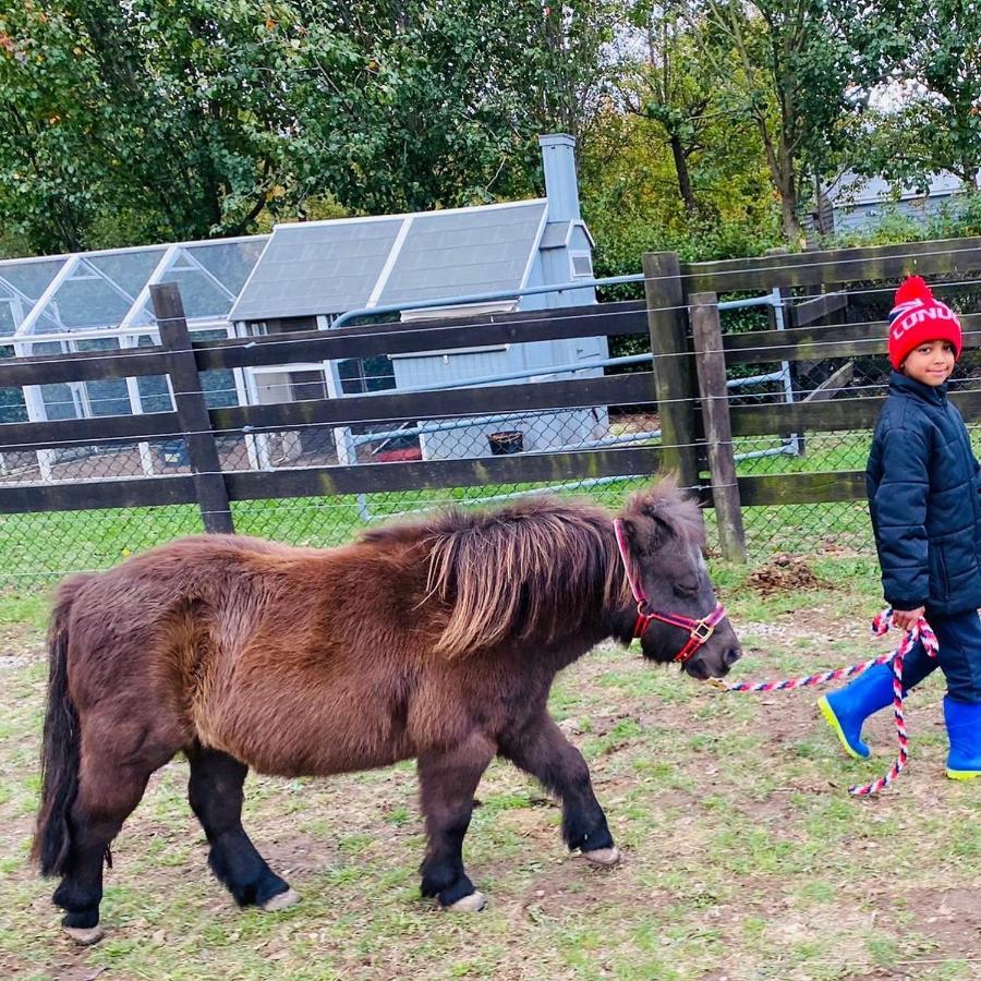 Farm Stay Maple Cottage At Wilindi Estate Tyabb المظهر الخارجي الصورة