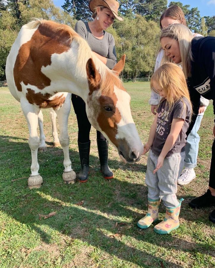 Farm Stay Maple Cottage At Wilindi Estate Tyabb المظهر الخارجي الصورة
